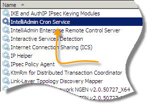 IntelliAdmin Cron Service