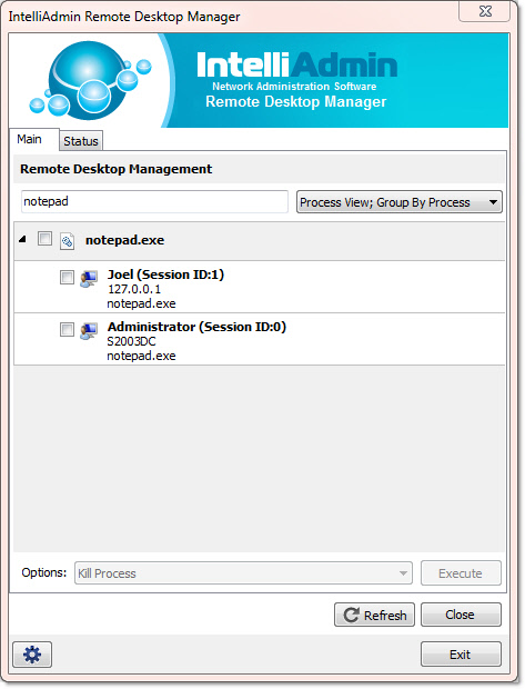 Remote Desktop Manager Process View