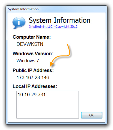 System Information Public IP